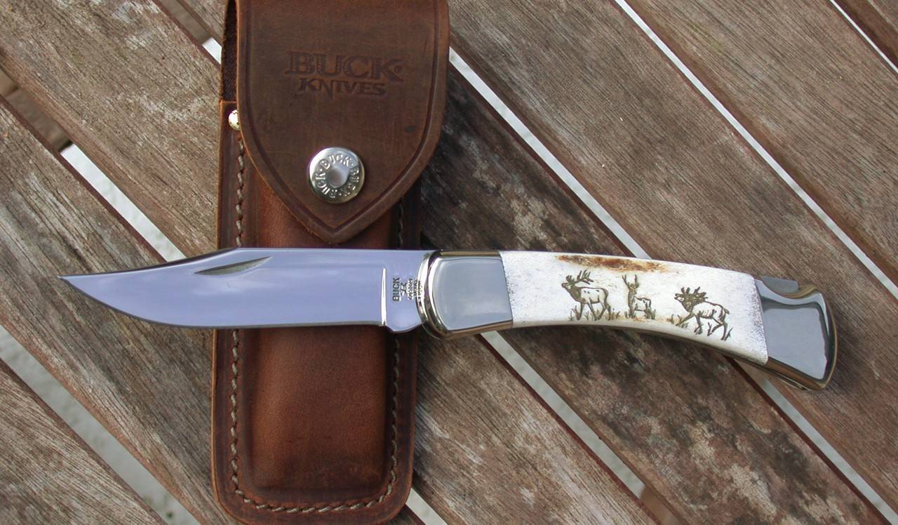 BUCK 110 Folding Hunter